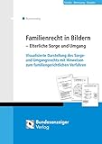 Familienrecht in Bildern - Elterliche Sorge und Umgang: Visualisierte Darstellung des Sorge- und...