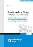 Familienrecht in Bildern - Elterliche Sorge und Umgang: Visualisierte Darstellung des Sorge- und...