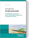 Handbuch Kindesunterhalt: Unterhaltsberechnung in der Praxis, Erläuterungen, Beispiele und...