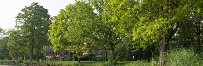 Scheidungskanzlei Bocholt: Hier finden Sie den passenden Anwalt für Familienrecht in Bocholt!