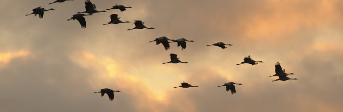 Scheidungskanzlei Velbert: Hier finden Sie den passenden Anwalt für Familienrecht in Velbert!