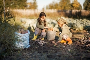 Die Teilungsversteigerung nach einer Scheidung zu verhindern ist vor allem bei gemeinsamen Kindern möglich.