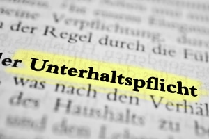 Fahrverbote für säumige Unterhaltsschuldner: In Strafverfahren bereits als Nebenstrafe möglich.
